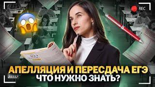 КАК ПОДНЯТЬ СВОИ БАЛЛЫ? Подаем на апелляцию и пересдачу ЕГЭ правильно!