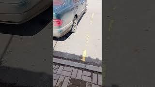 Мерстің ішінде итерді ️