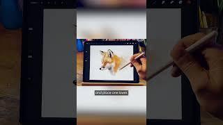 How to Add A Watercolour Background To Procreate Paintings
