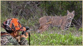 Special Video: How Do American Hunters And Farmers Deal With Million Of Wild Boar And Bobcat By Guns