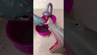 Shark plz shut up IM sleeping #viral #trend #satisfying #squishy #memes #shark #shorts