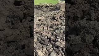 #Bulkhead