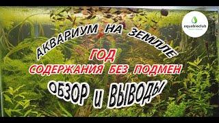 Аквариум на земле. Год содержания без подмен. Обзор и выводы.