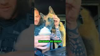 Dog's Epic Reaction to Pup Cup  #shorts