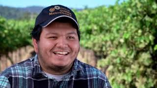 E. & J. Gallo Winery Partners with CTE Foundation on Sonoma Corps | Gap-Year Internship