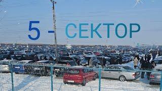 Авторынок Бишкек. 5-сектор