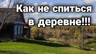 Как вырастить и продать тюльпаны живя в деревне!!!