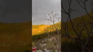Heart touching recitation of quran | Hafiz Hammad Abbaci #naturelovers #music #quranrecitation