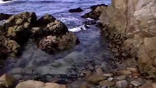 OCEAN WAVES CLIP #1