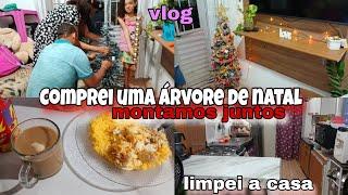 COMPREI UMA ÁRVORE DE NATAL/MONTAMOS EM FAMÍLIA/LIMPEI E ORGANIZEI A CASA. #viralvideo