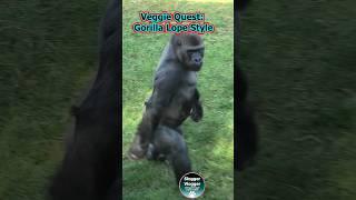 Veggie Quest Gorilla Lope Style