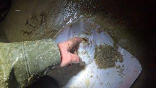 Pêche sur une plage, de nuit, à l'appât naturel