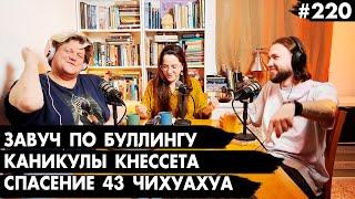 #220 Завуч по буллингу, Каникулы Кнессета, 43 чихуахуа - Че там у евреев?