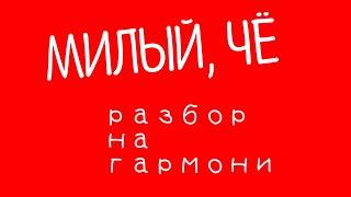 ВИДЕО - УРОК 3 / МИЛЫЙ ️ЧЁ, ДА МИЛЫЙ, ЧЁ