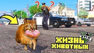 КОТ УКРАЛ ПОНЧИК У ПОЛИЦЕЙСКОГО!! ОБЪЯВЛЕН ПЛАН ПЕРЕХВАТ! - GTA 5 ЖИЗНЬ ЖИВОТНЫХ (ГТА 5 МОДЫ)