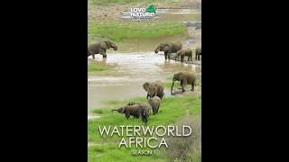 Водный мир Африки / Waterworld Africa / Серия 4 Драгоценная влага