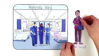 Bedfordshire Hospitals NHS  Foundation Trust Operating Model | CCAnimationStudio