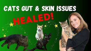 From Overwhelmed to Empowered: Ashley's Journey to Healing Her Cats with Holistic Vet Guidance