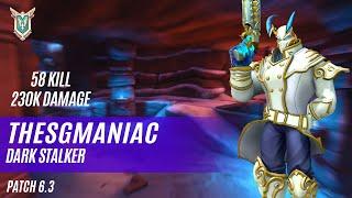 58 KILL 230K DAMAGE THESGMANIAC ANDROXUS PALADINS COMPETITIVE (PATCH 6 .3) DARK STALKER