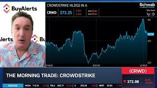 CRWD Commands Market Share, Options Trade Amid "Inflated Volatility"