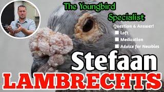 Stefaan Lambrechts | 1st national champion LMD young birds