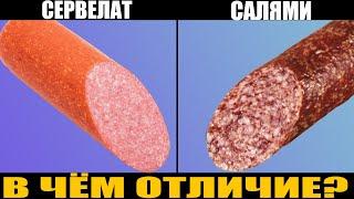 ЧЕМ ОТЛИЧАЕТСЯ САЛЯМИ ОТ СЕРВЕЛАТА