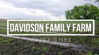 Welcome to Davidson Family Farm!