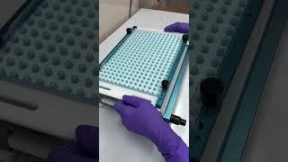 How medications are made in a compounding pharmacy 