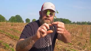 Corn vs Soybeans with Russell