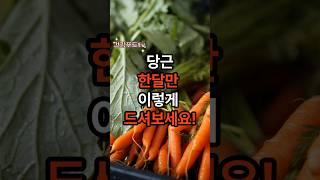 당근 한달만 이렇게 드셔보세요 #당근 #건강 #음식 #당근한달동안 #shorts