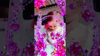 cute baby | affnan Niazi Official