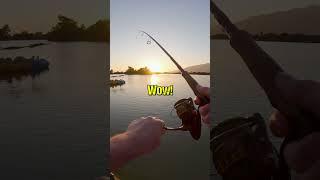 Bass Can't Resist This Technique!