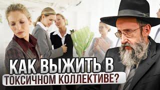 Как выжить в токсичном коллективе? Рав Ашер Кушнир