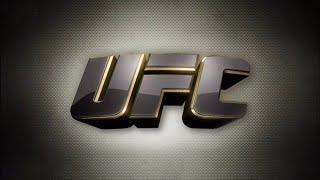 UFC 217: Bisping vs St Pierre