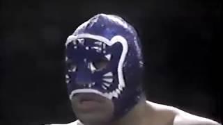 Tony Arce & Rocco Valente vs. Blue Panther & Vulcano
