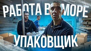 40 tons of fish in 8 hours - PACKER, work at sea on a fishing vessel