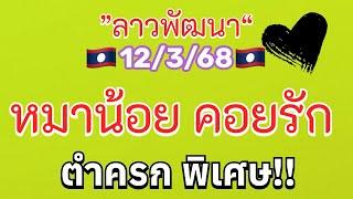 “หมาน้อย คอยรัก”12/3/68 #ลาวพัฒนา