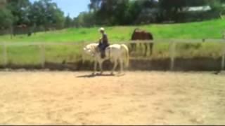 Shoulder In with Mike Hughes, Auburn California