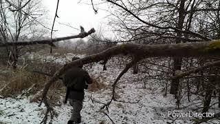 Охота в Клетском р-оне Волгоградской обл.