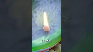 What happen when we swallow our tooth