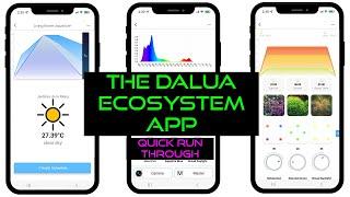 The DALUA ECOSYSTEM App Quick Run Through