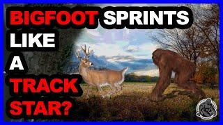 BIGFOOT Stalks Deer Like Sprinter - Alabama Witness Explains His Sighting