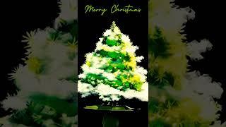 Merry Christmas 2024 #shorts #shortsfeed #christmastree #merrychristmas2024