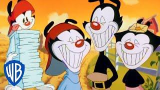 Animaniacs | The Warners' Best Pranks | Classic Cartoon Compilation | WB Kids