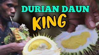 Memburu Durian Daun King, Durian Hutan yang Unik rasanya.