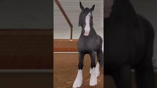 Star Stable Shire In Reality | SSO TikTok