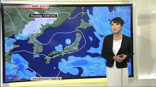 Sayaka Mori NHK World Newsroom Tokyo Weather November 15th 2018