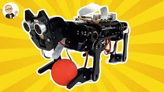 Freenove Robot Dog Kit for Raspberry Pi | Unboxing & Assembly