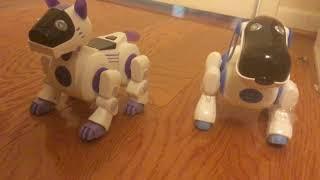 Aibo ERS-210 and Aibo ERS-7m3 comparison: Boswell and Salvo