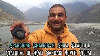 Searching Sri Shaligram Shila (Beautiful Natural of Kali Gandaki Rivar Nepal)#shaligramcollection